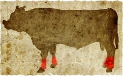 牛肉の部位（名称） 一覧リスト アキレス || image