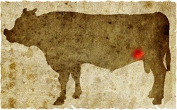牛肉の部位（名称） 一覧リスト コブクロ || image