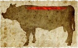 牛肉の部位（名称） 一覧リスト セキズイ || image