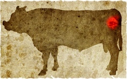 牛肉の部位（名称） 一覧リスト テッポウ || image