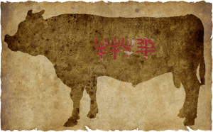 牛肉の部位（名称） 一覧リスト || image