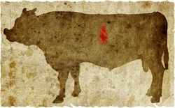 牛肉の部位（名称） 一覧リスト ハラミ || image