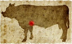 牛肉の部位（名称） 一覧リスト ハチノス || image