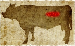牛肉の部位（名称） 一覧リスト ヒレ || image