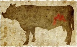 牛肉の部位（名称） 一覧リスト ヒモ || image