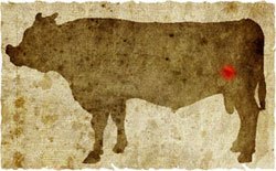 牛肉の部位（名称） 一覧リスト ヒウチ || image