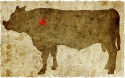 牛肉の部位（名称） 一覧リスト ハツモト || image
