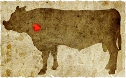 牛肉の部位（名称） 一覧リスト フワ || image