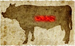 牛肉の部位（名称） 一覧リスト インサイドスカート || image