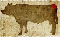 牛肉の部位（名称） 一覧リスト イチボ || image