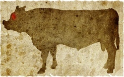 牛肉の部位（名称） 一覧リスト カシラ || image