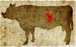 牛肉の部位（名称） 一覧リスト レバー || image
