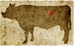 牛肉の部位（名称） 一覧リスト マメ || image