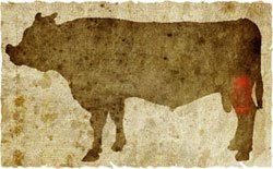 牛肉の部位（名称） 一覧リスト マルカワ || image