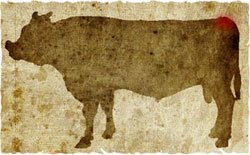 牛肉の部位（名称） 一覧リスト メガネ || image