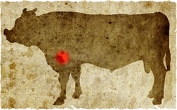 牛肉の部位（名称） 一覧リスト ミノ || image