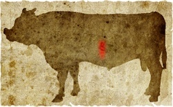 牛肉の部位（名称） 一覧リスト サガリ || image