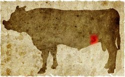 牛肉の部位（名称） 一覧リスト ササバラ || image