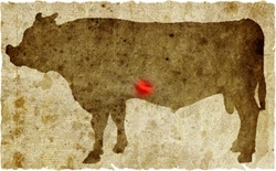 牛肉の部位（名称） 一覧リスト センマイ || image