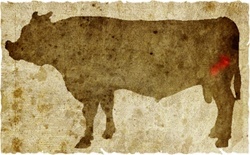 牛肉の部位（名称） 一覧リスト シマチョウ || image