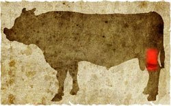 牛肉の部位（名称） 一覧リスト シンシン || image