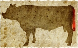 牛肉の部位（名称） 一覧リスト テール || image