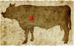 牛肉の部位（名称） 一覧リスト タチギモ || image