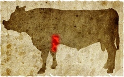牛肉の部位（名称） 一覧リスト トウガラシ || image