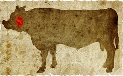 牛肉の部位（名称） 一覧リスト ツラミ || image