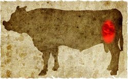 牛肉の部位（名称） 一覧リスト ウチモモ || image