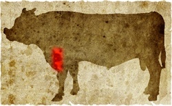 牛肉の部位（名称） 一覧リスト ウワスジ || image