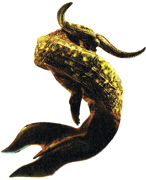 皇海龍 ナバルデウス亜種 画像