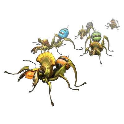 甲虫 オルタロス 画像