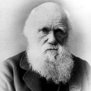 科学者たるもの、願望や愛着を持つべきではない。 | チャールズ・ダーウィンさんの名言・格言・英語 一覧リスト